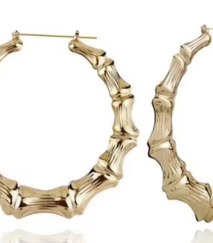 Boucle d'oreille