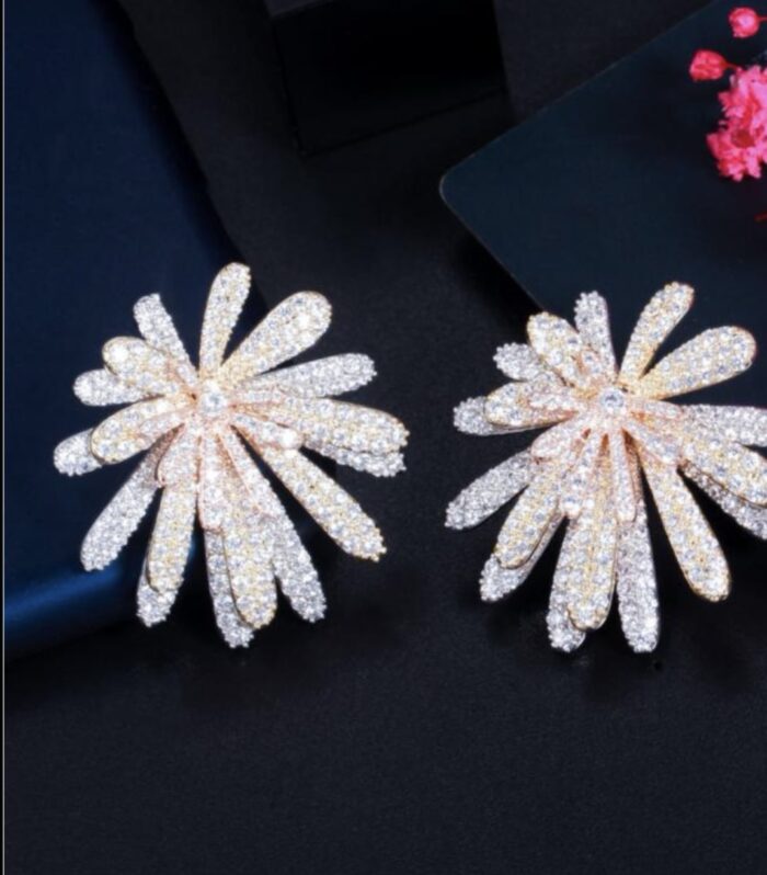 Boucle d'oreille